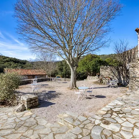 Domaine Les Hauts D'issenssac Causse-de-la-Selle