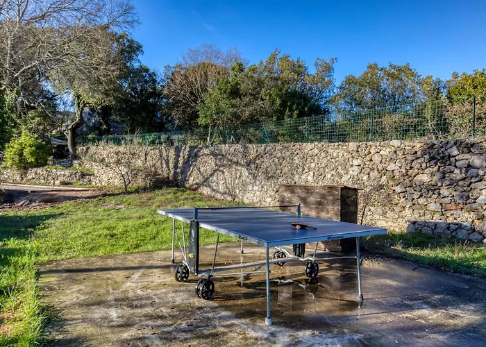 Domaine Les Hauts D'issenssac * Causse-de-la-Selle